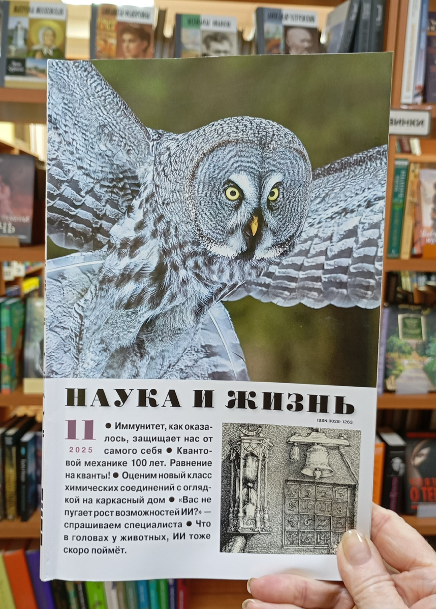 Фотография автора