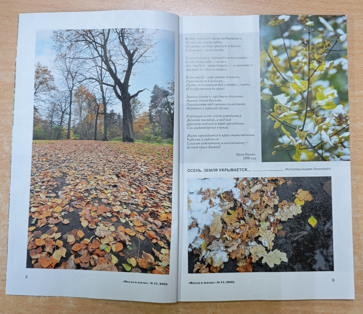 Фотография автора