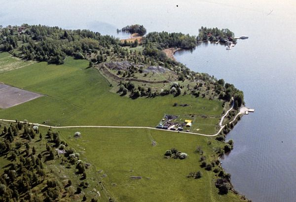 Яндекс Картинки