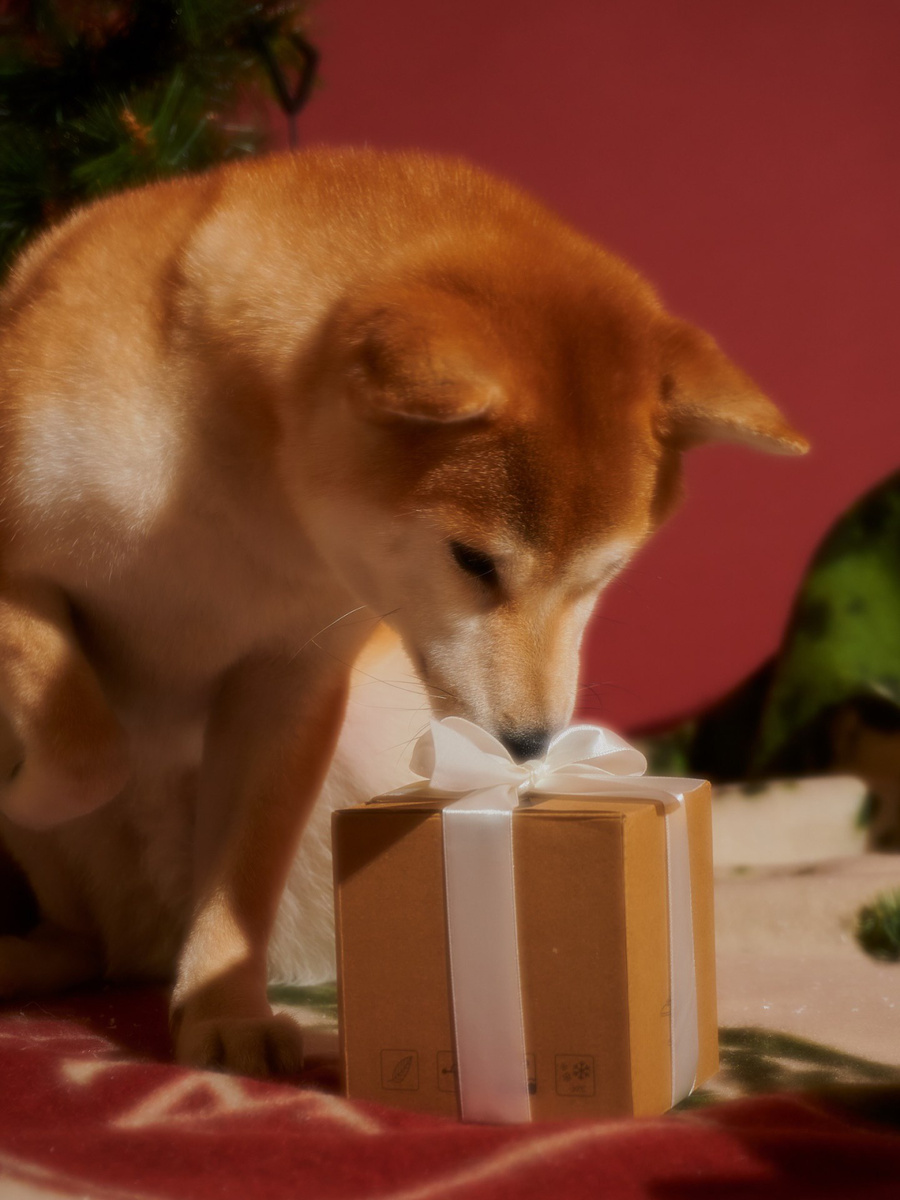    Called a Garment, колд э гармент, Called a Garment товары для дома, Called a Garment новая коллекция, диффузоры