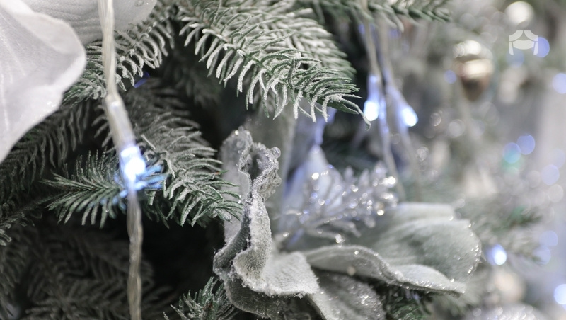    Ребёнок уже побывал на «Губернаторской ёлке» Фото: ИА «Победа26»