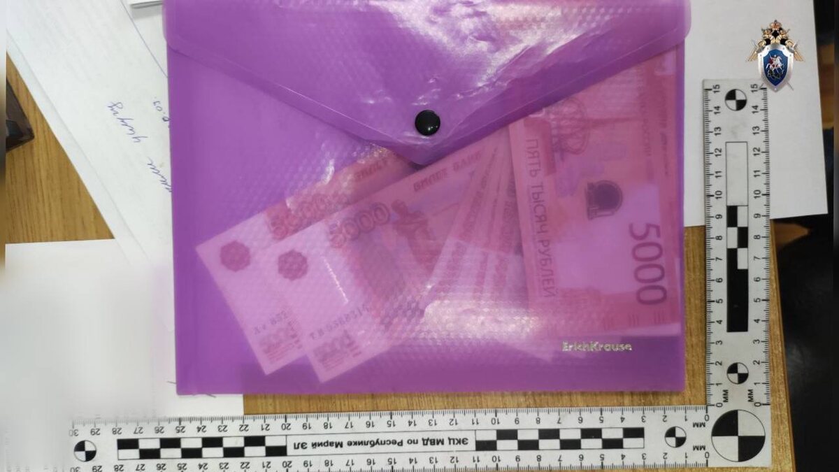 Фото: СУ СК России по Марий Эл