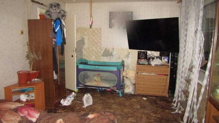  Фото: пресс-служба СУ СКР по Красноярскому краю и Республике Хакасия