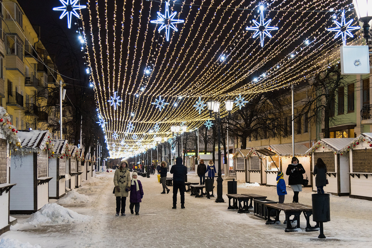 На коньках в Рязани катаются на местной ВДНХ и на Мюнстерской площади. Фото: katuka / Shutterstock / Fotodom