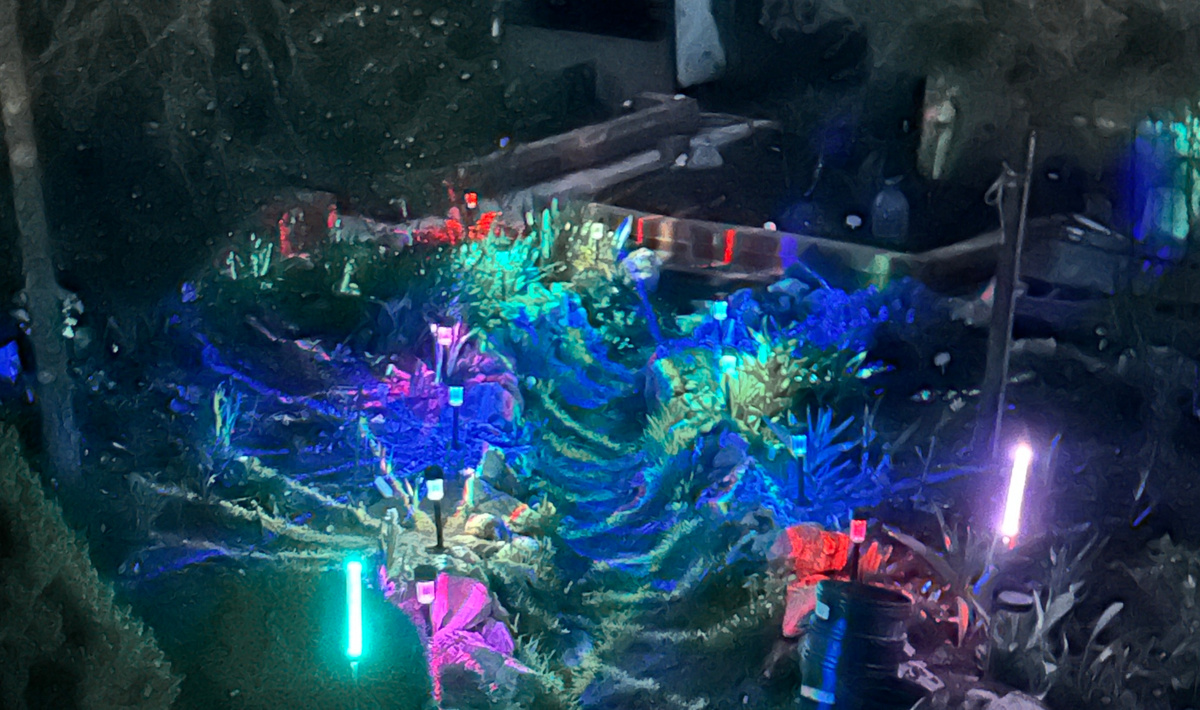 Перебираю фотографии - неужели так и было в ночном саду этим летом?! Так и было!