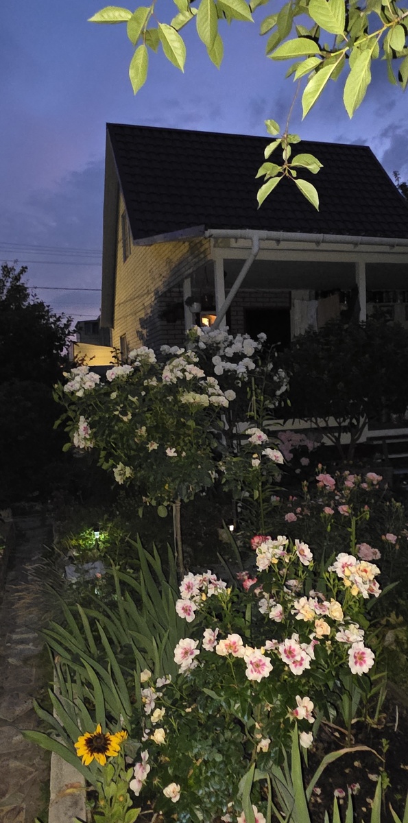 Дачный домик летней ночь - еще более дачный, и еще более домик.