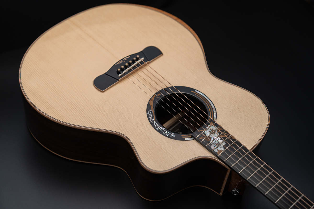 Акустическая гитара MeridaExtrema Winter, цена: 84 380 руб.