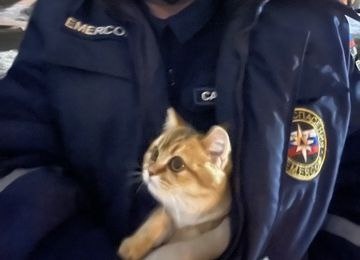     Фото: управление по делам ГО и ЧС