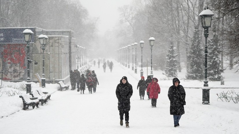  АГН «Москва» Пелагия Тихонова