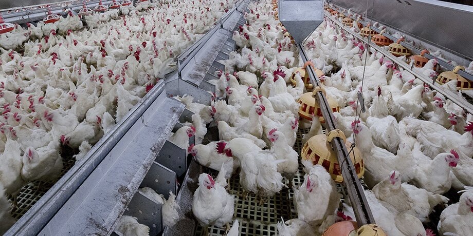    Фото: 123RF.com/chayakornlot