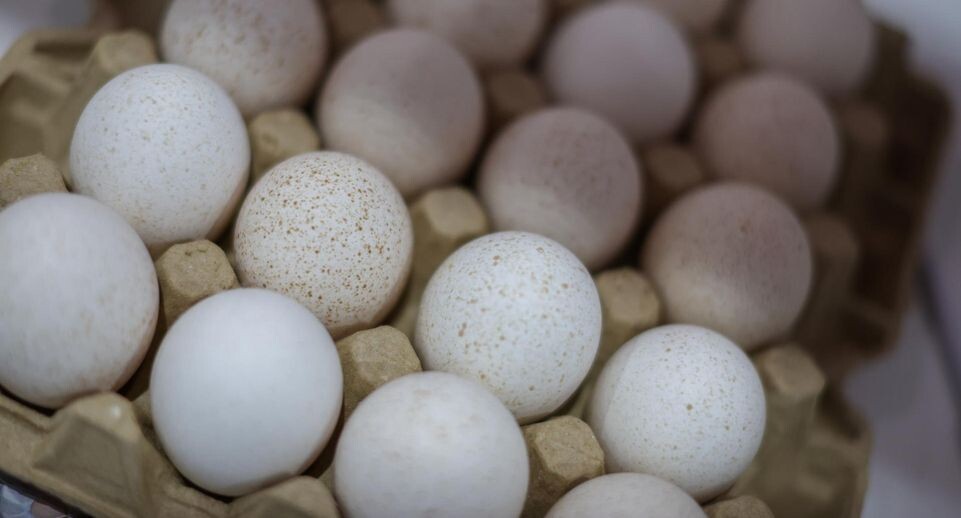    Belkin Alexey/news.ru / www.globallookpress.com