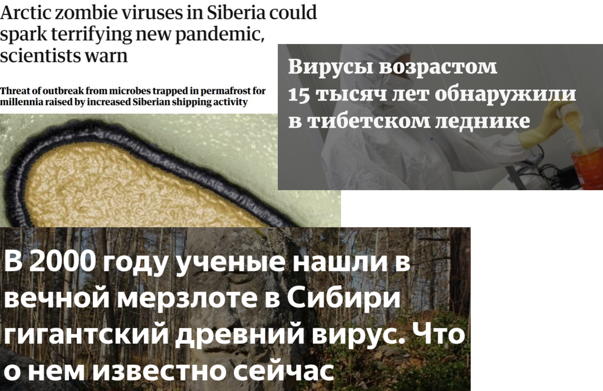 коллаж автора из новостных источников