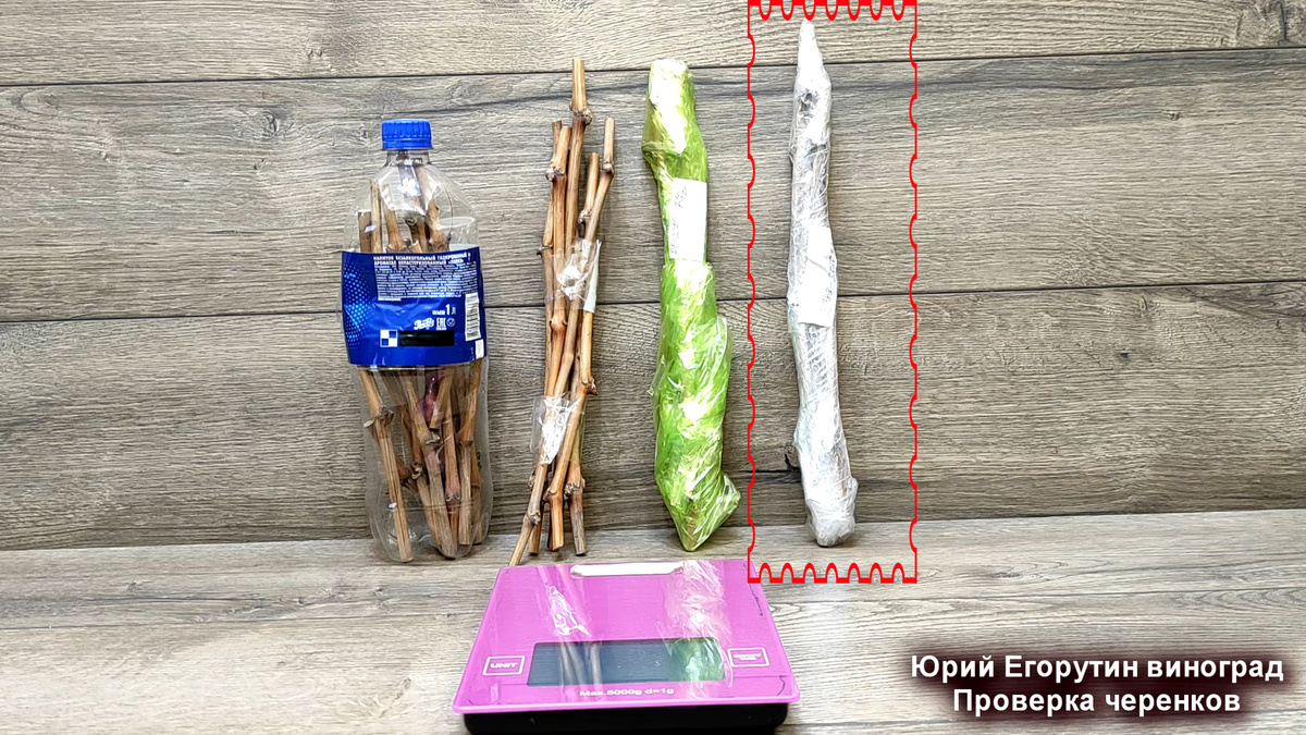 Черенки загерметизированы полиэтиленовым пакетом и скотчем.