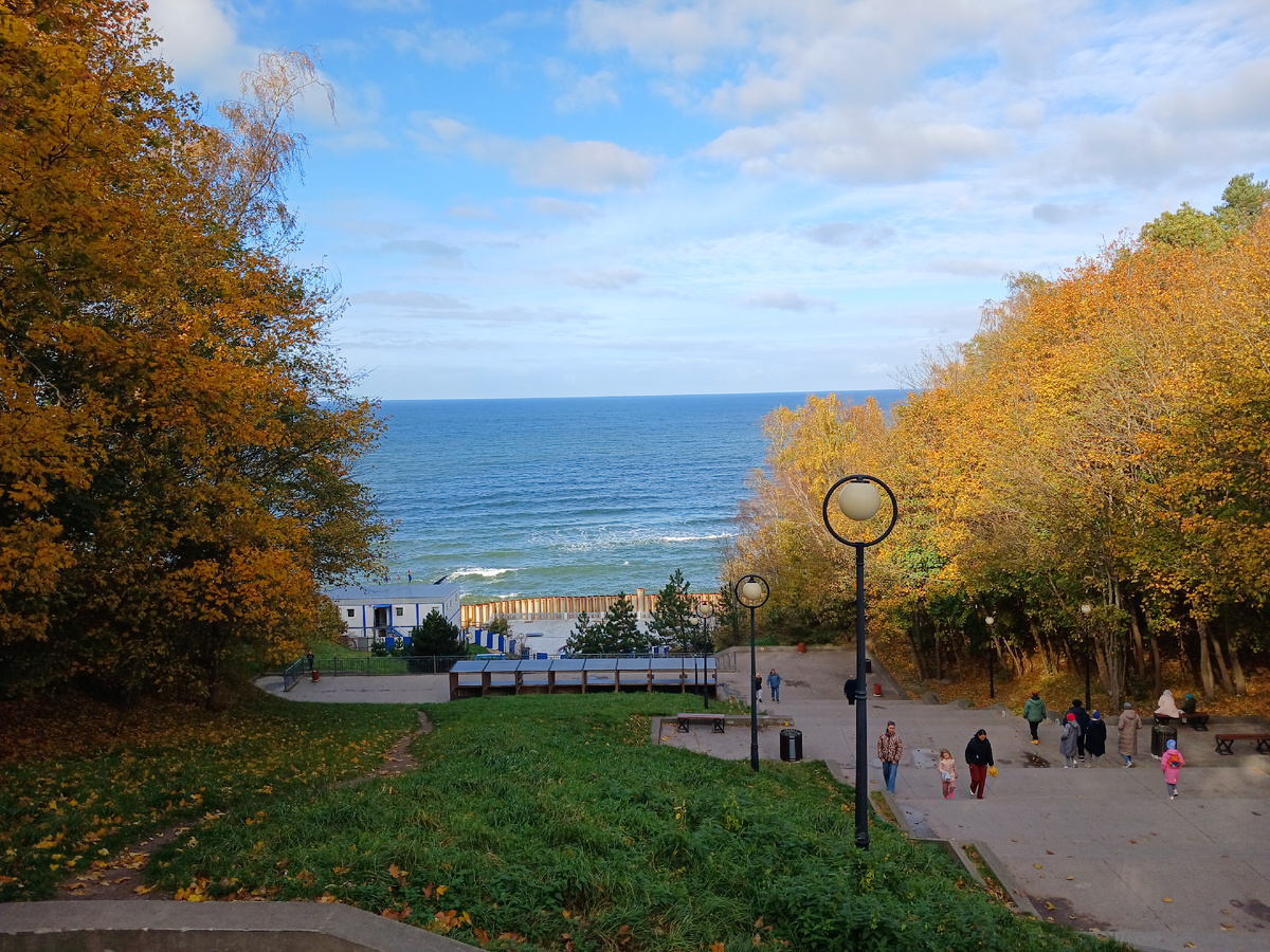 Светлогорск