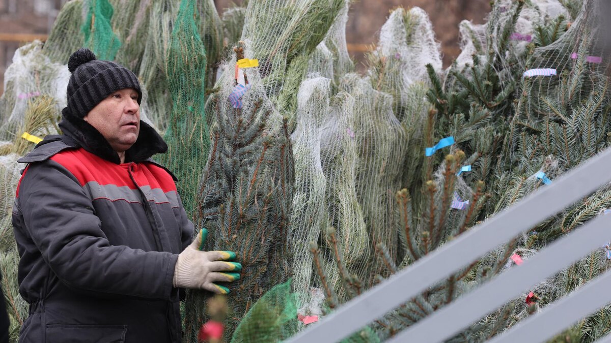    Фото: Belkin Alexey/news.ru