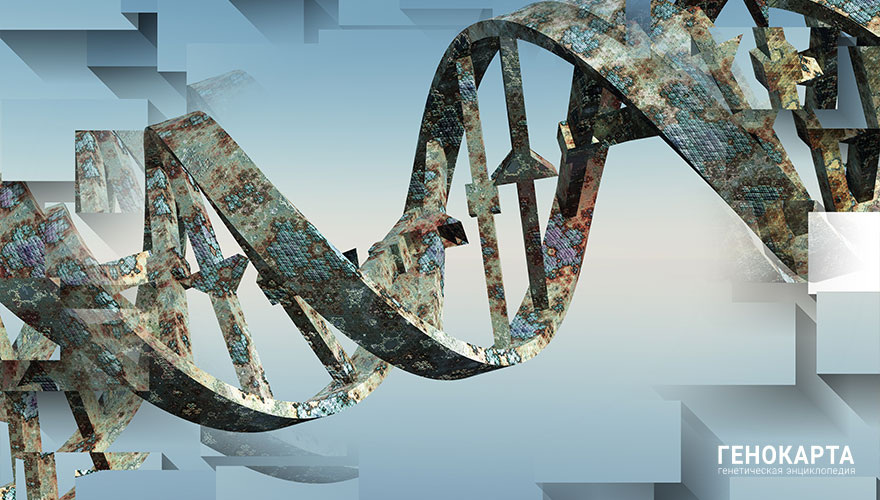 Bruce Rolff // shutterstock.com