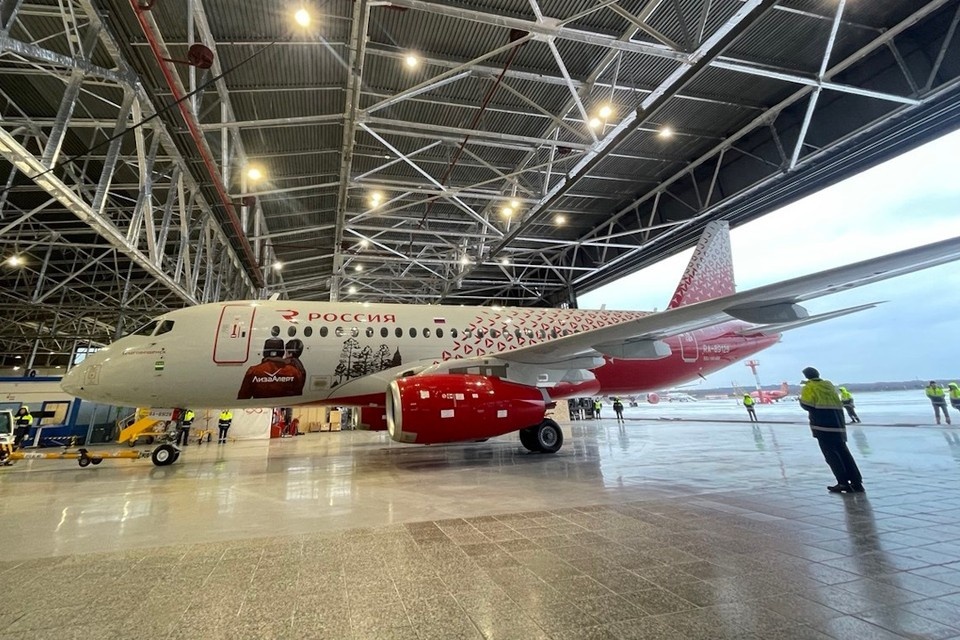    В Пулково показали борт в уникальной ливрее отряда "ЛизаАлерт". Фото: "ЛизаАлерт"