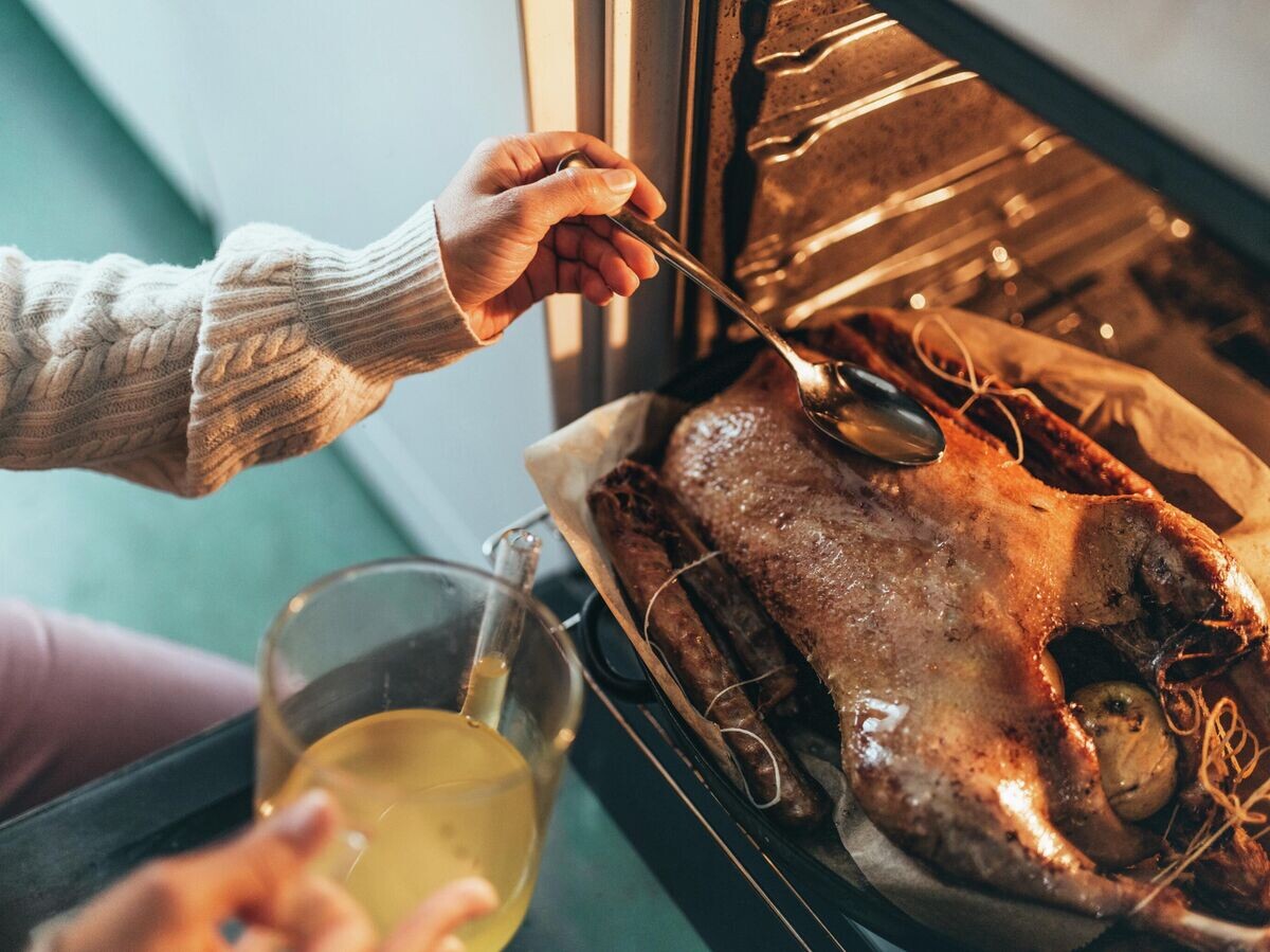    Запеченный гусь | © Getty Images / golero