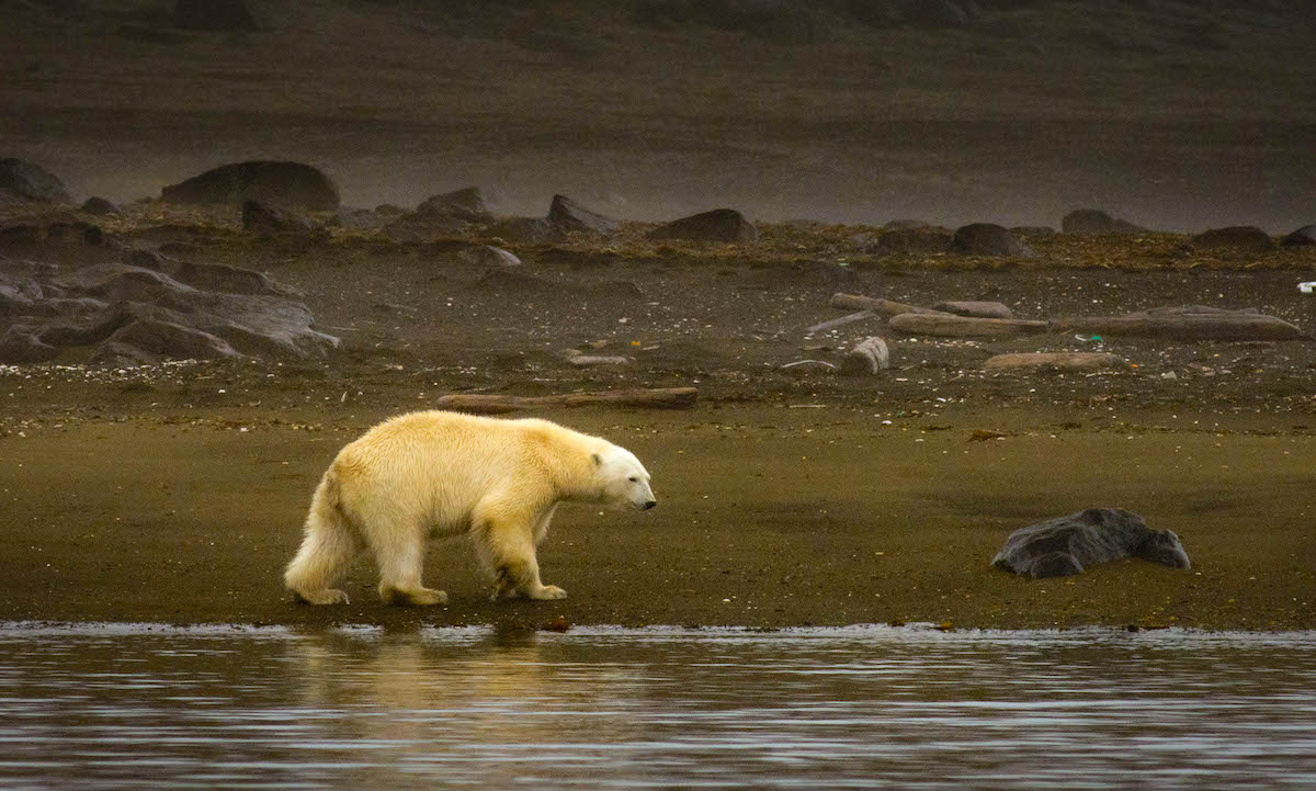 Фото: Александр Романовский. Фотобанк ПОРА