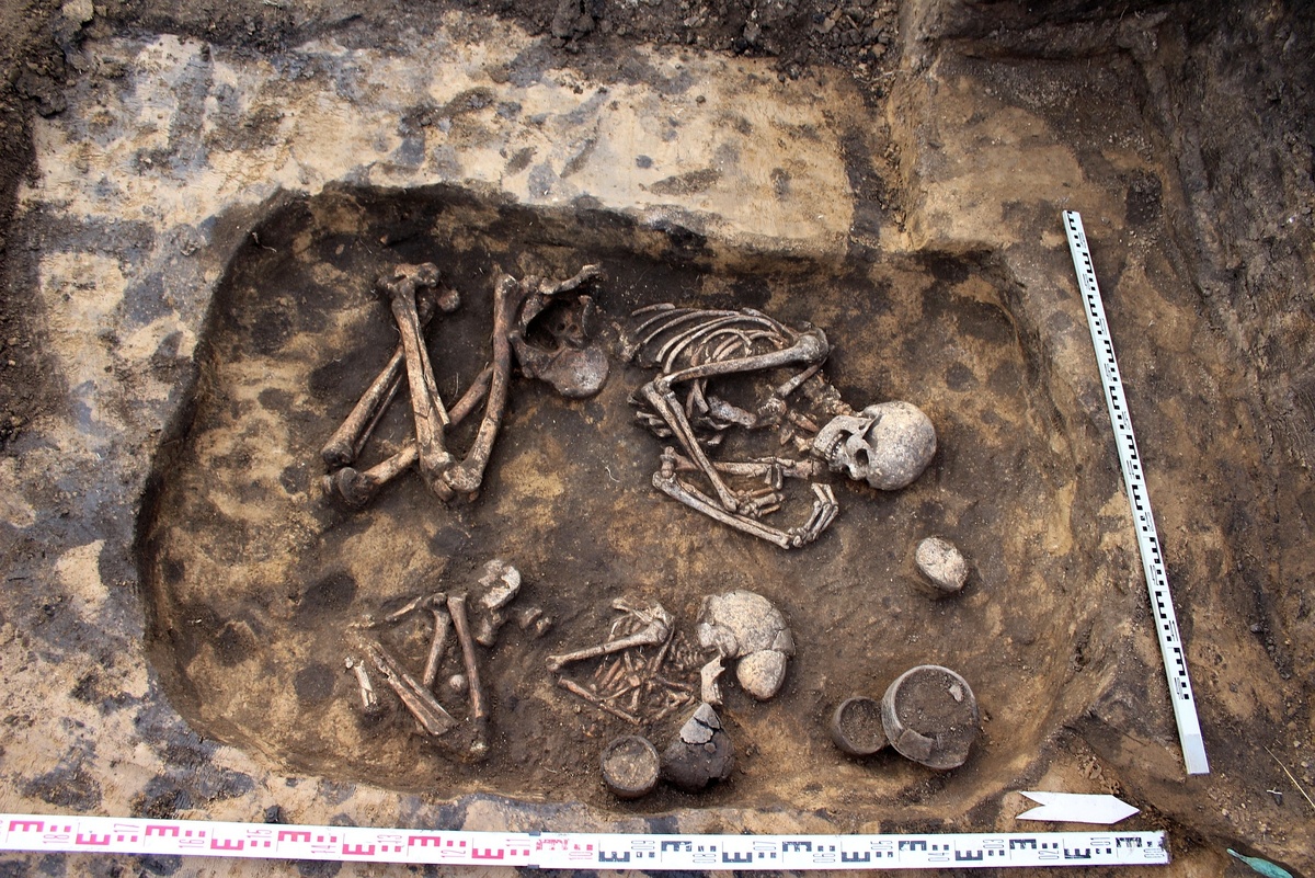    Три кургана, насыпанные 3,5 тысячи лет назад, вскрыли археологи под Борисоглебском Воронежской области./vk.com/Управление по охране ОКН Воронежской области