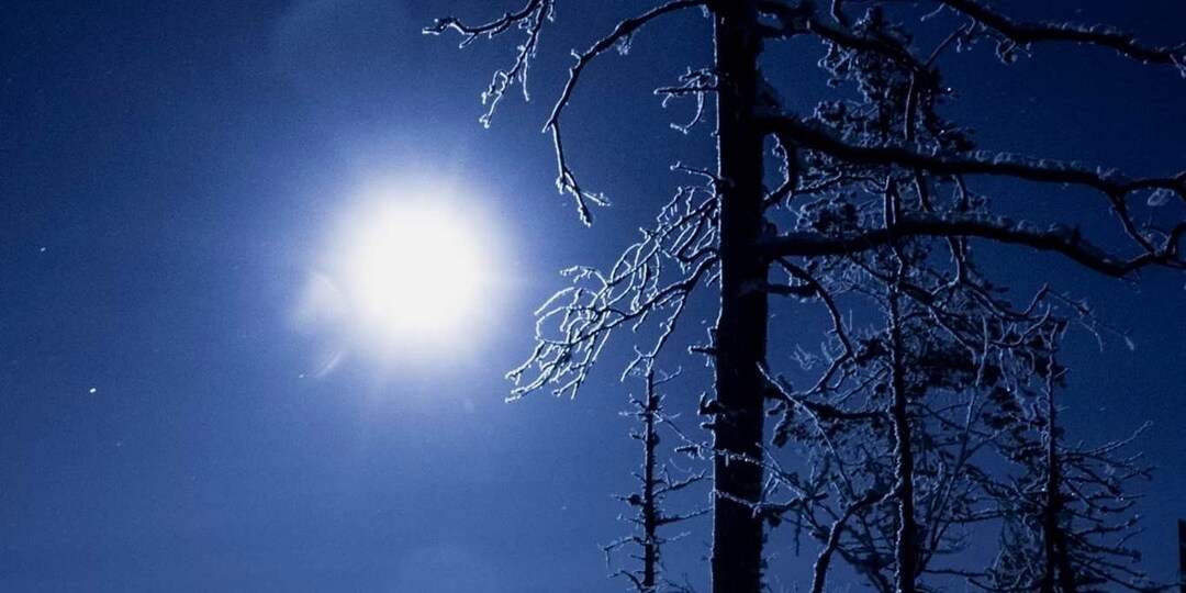 Астрологический прогноз на вторник 23 декабря 2025г