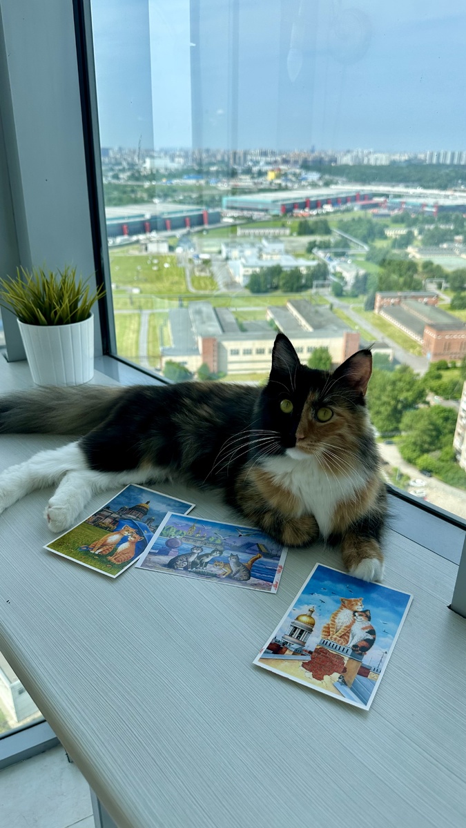 Луна в Санкт-Петербурге