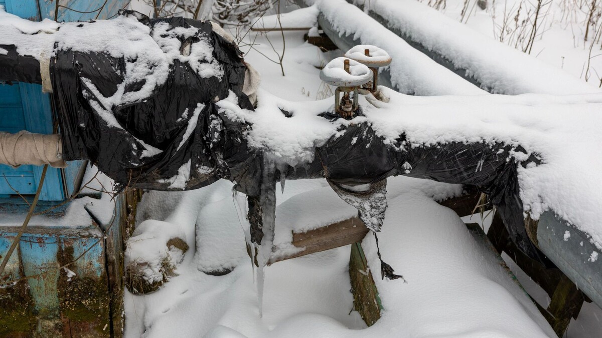    Фото: Александр Чирва/«Ямал-Медиа»