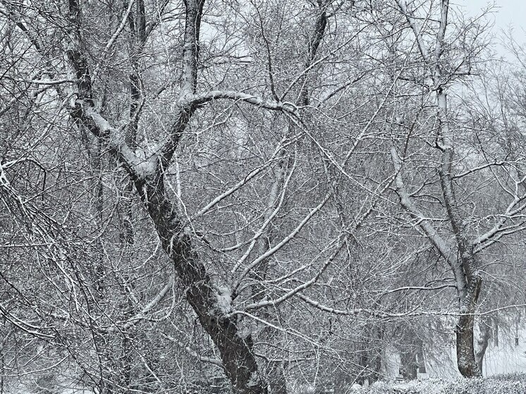     фото: "мк в самаре"