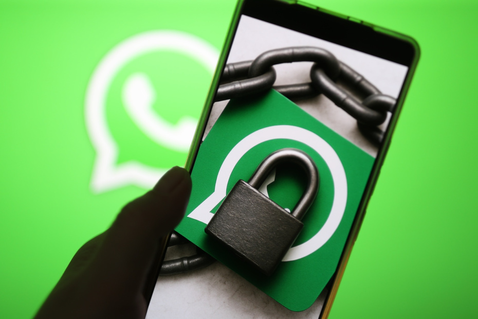    Алексей Белкин/NEWS.ru