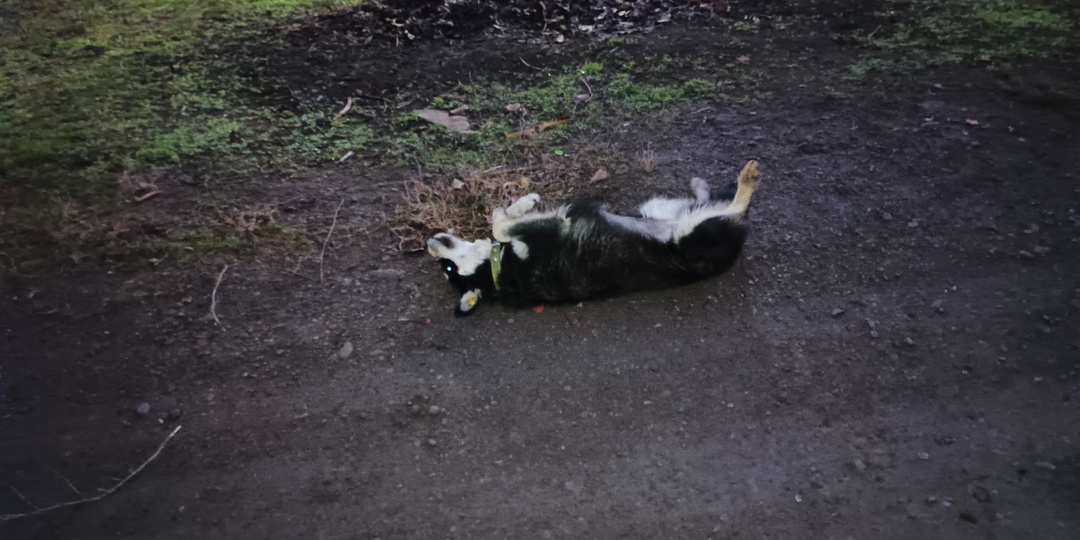 Добрый вечер!