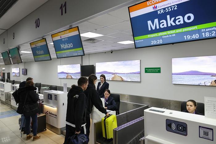 Обложка © ТАСС / Илья Аверьянов