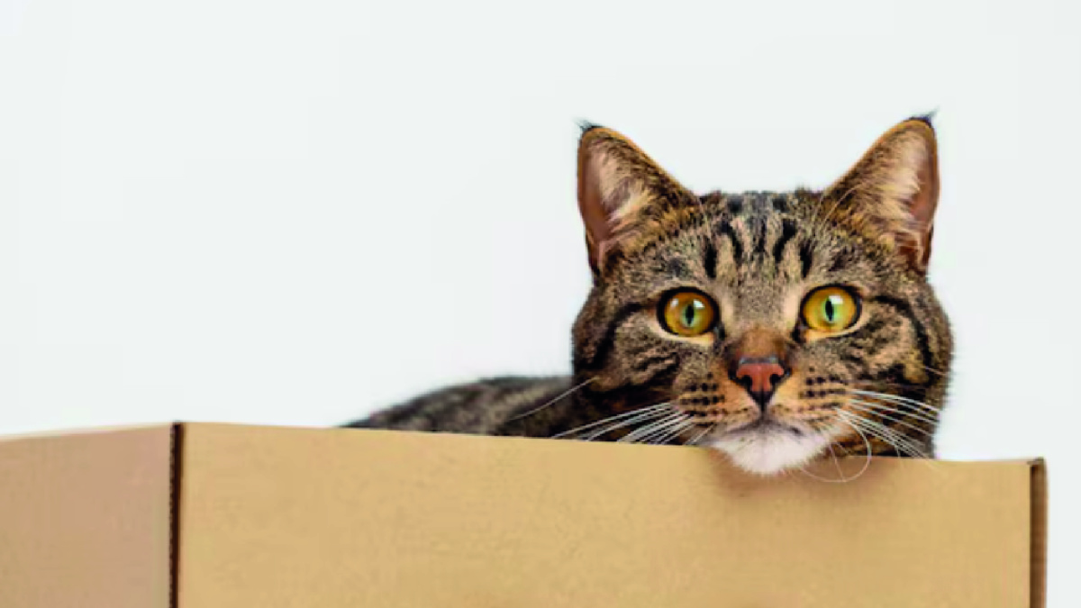 Фото - freepik.com.