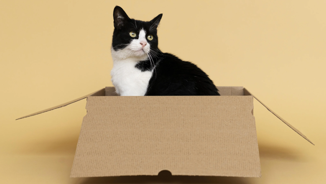 Фото: Freepik.com.