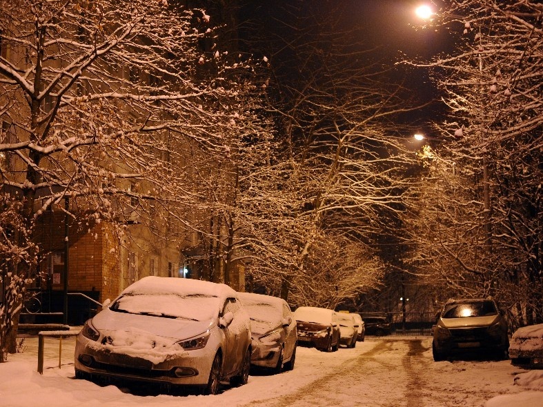    Фото: медиасток.рф