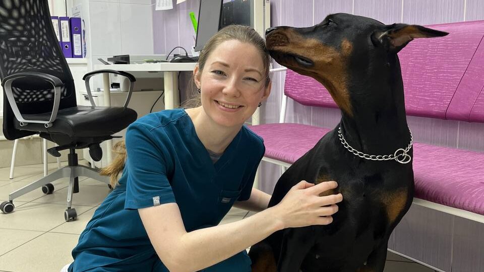 Почему я перестала писать книги, перестала писать на Дзен и много чего ещё