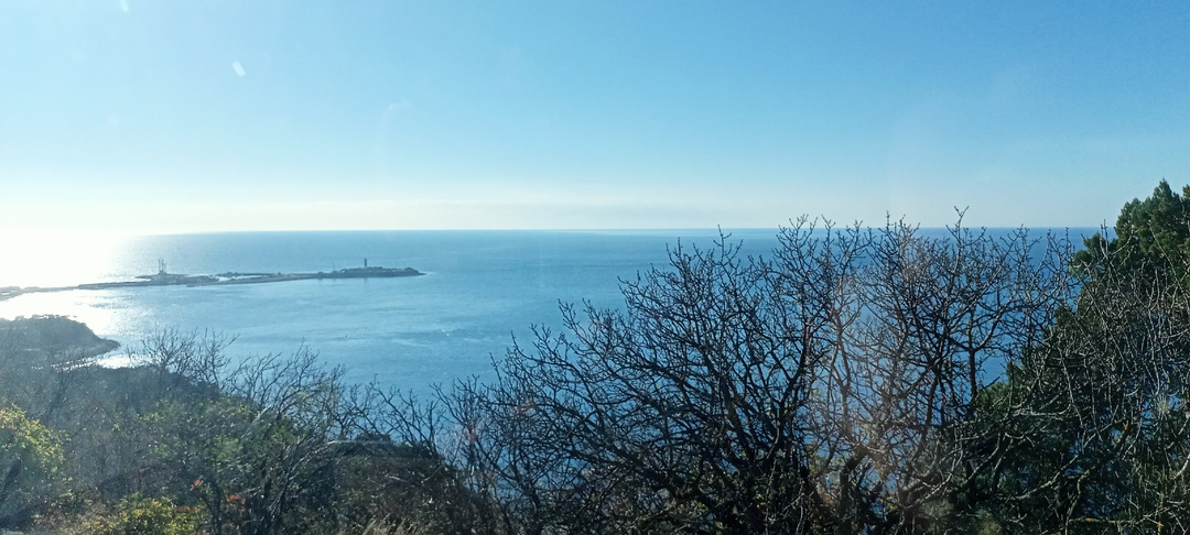 Сегодня отдыхаем от стройки.