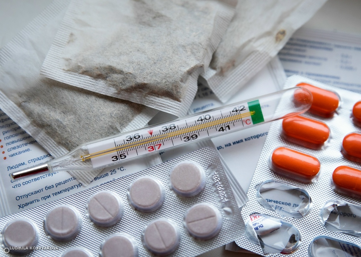    фото: © Людмила Корвякова