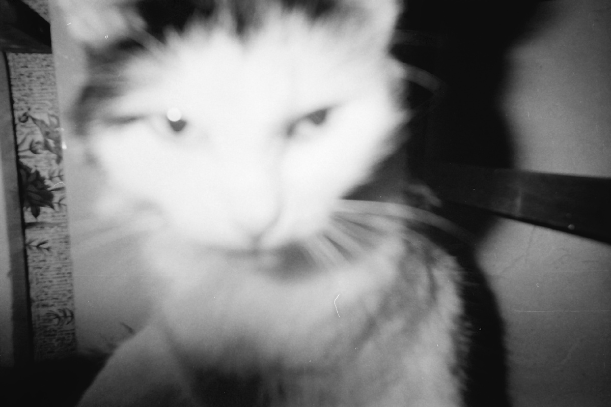 Вторая восстановленная фотография.