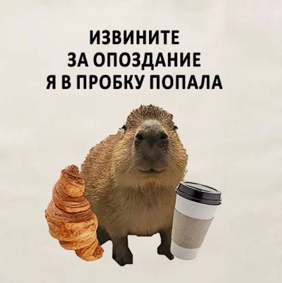 Коротко о том, как мои опаздывают на уроки