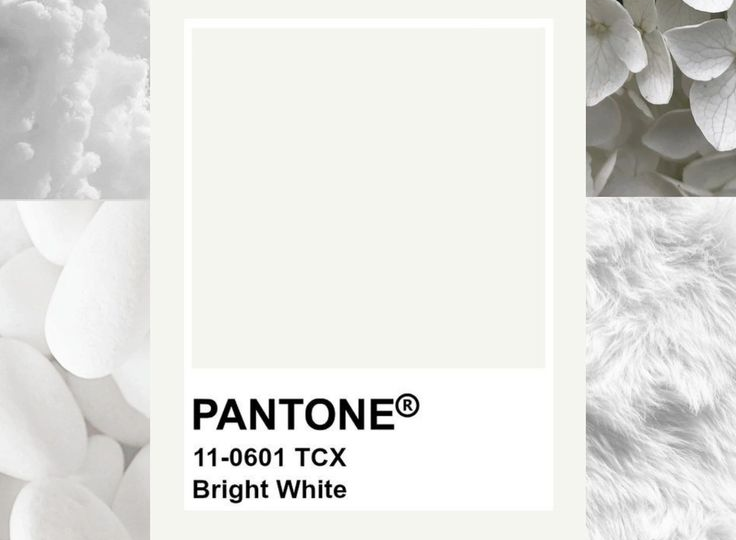 Цвет 2026 года: почему выбрали оттенок, который мы носили всю жизнь