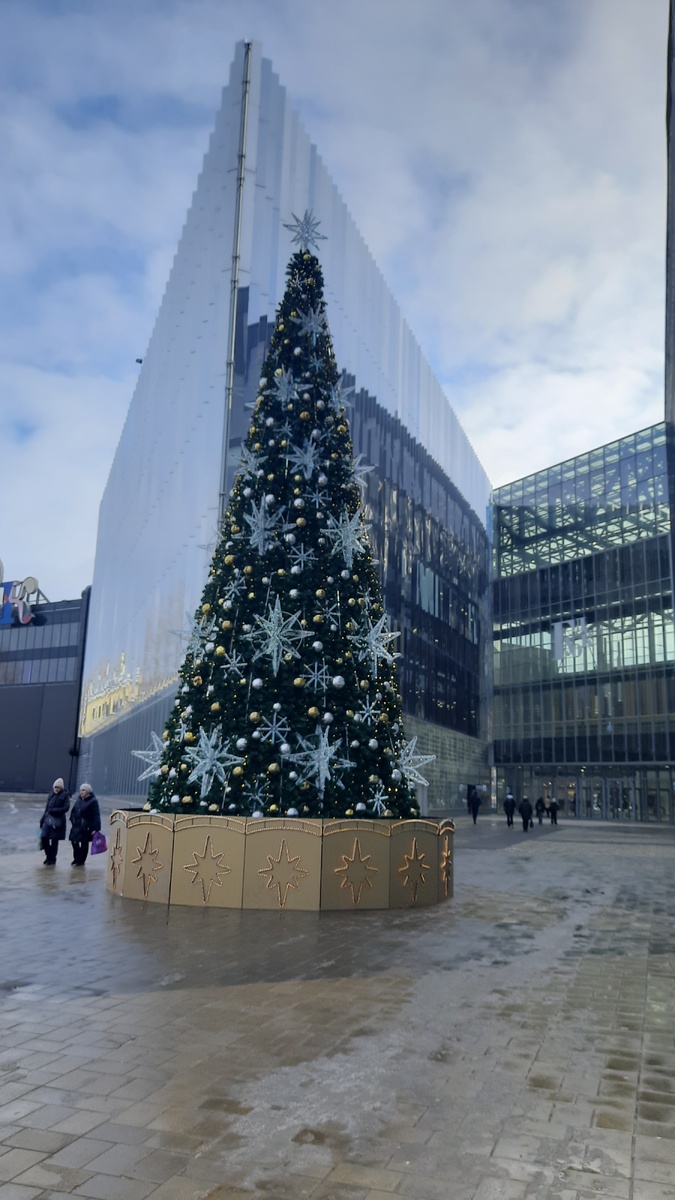 Фото автора.