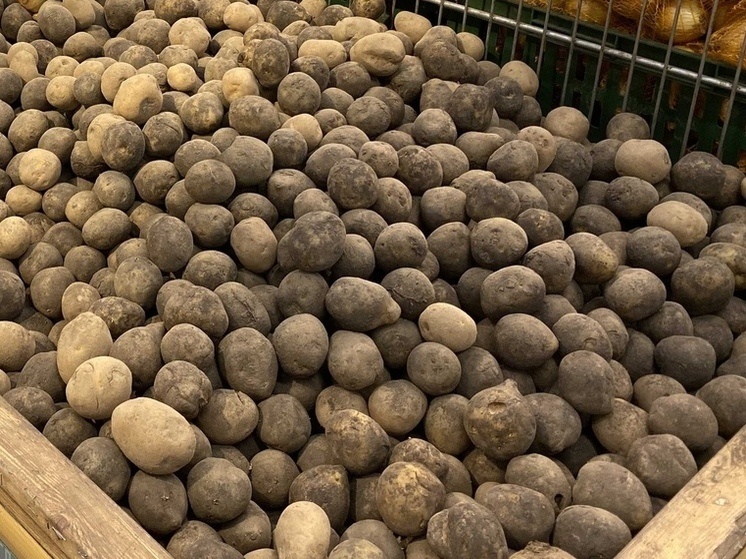     Фото МК в Рязани