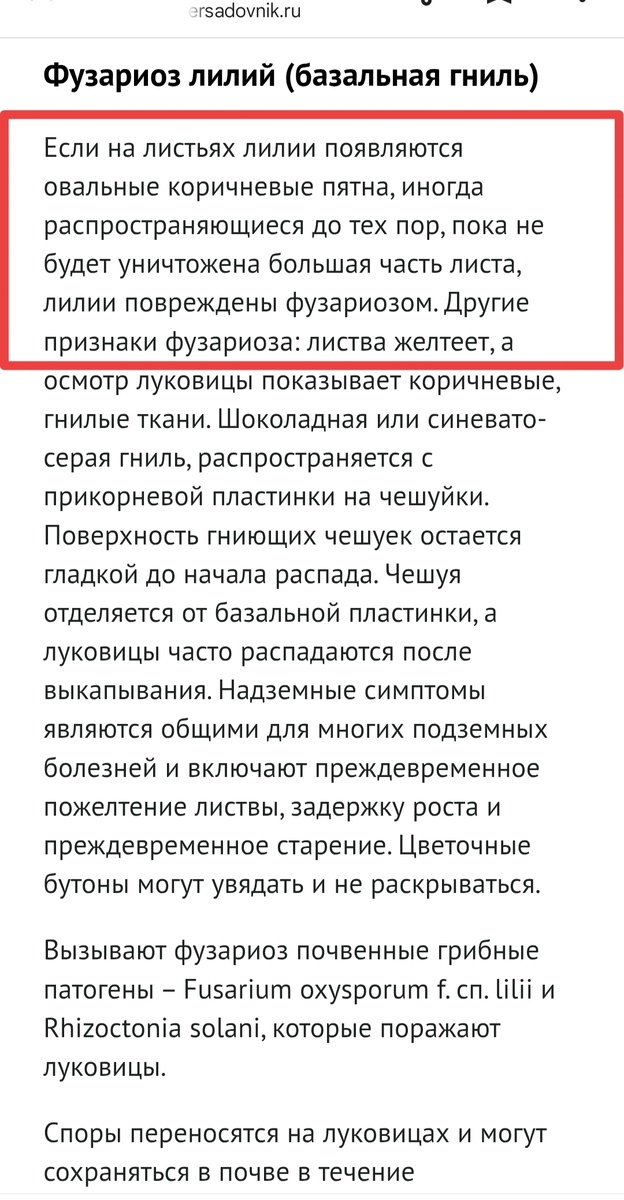 Скриншот из статьи.