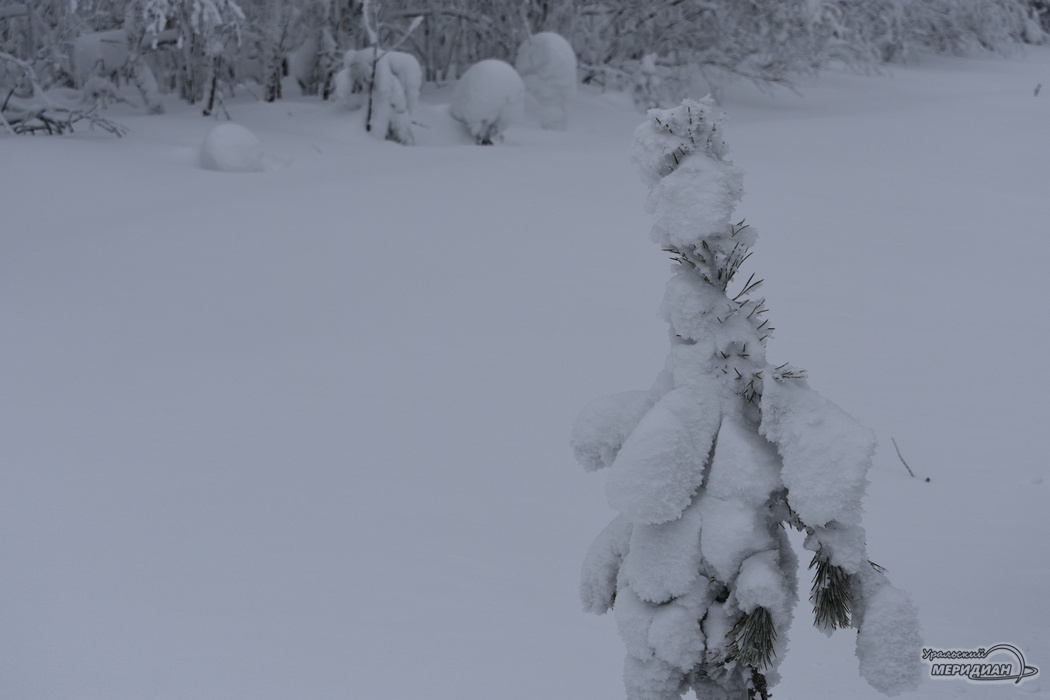    Фото Гертруда Тиунова © ИА «Уральский меридиан»