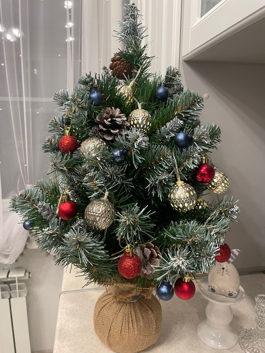 Красавица радует нас на кухне.