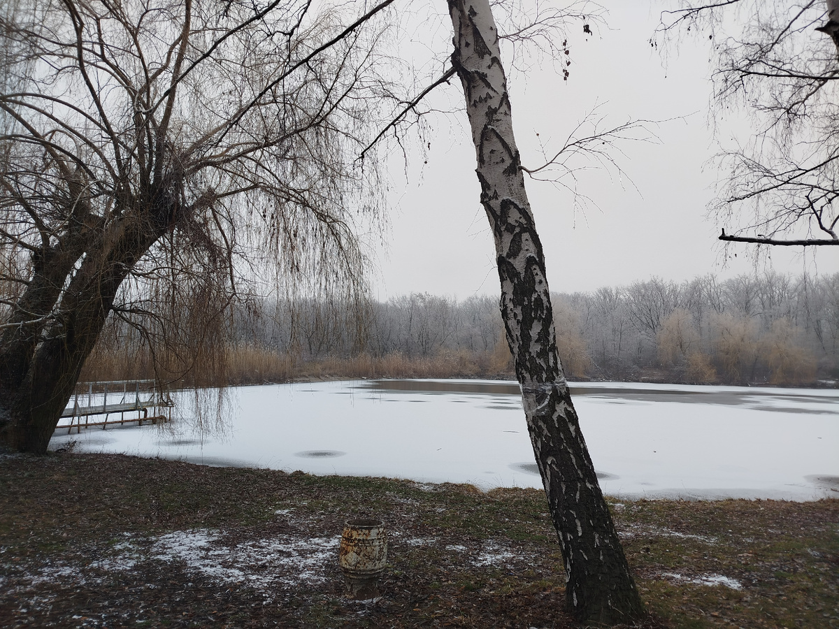 Один из Молодёжных Прудов в Ботаническом Саду.