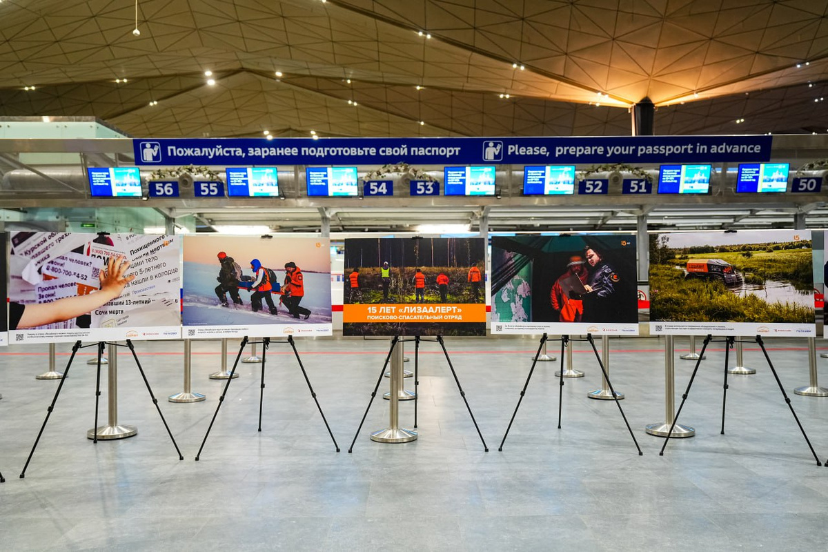    Фото: https://t.me/pulkovo_led/5075