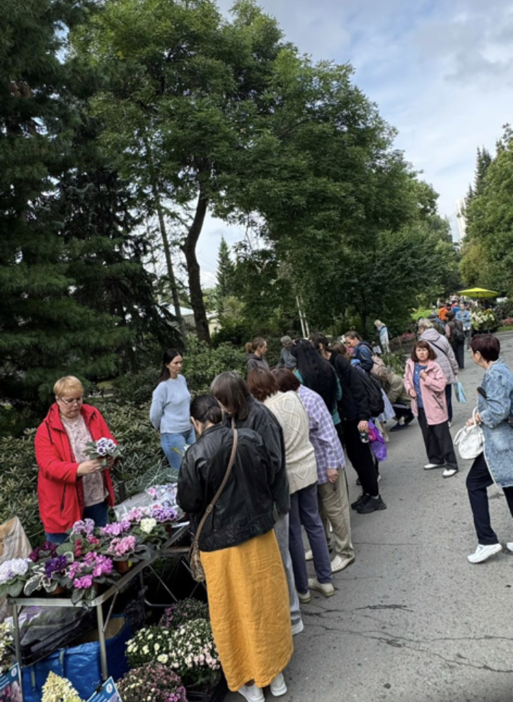 Ходют-бродют люди, и чего-то покупают