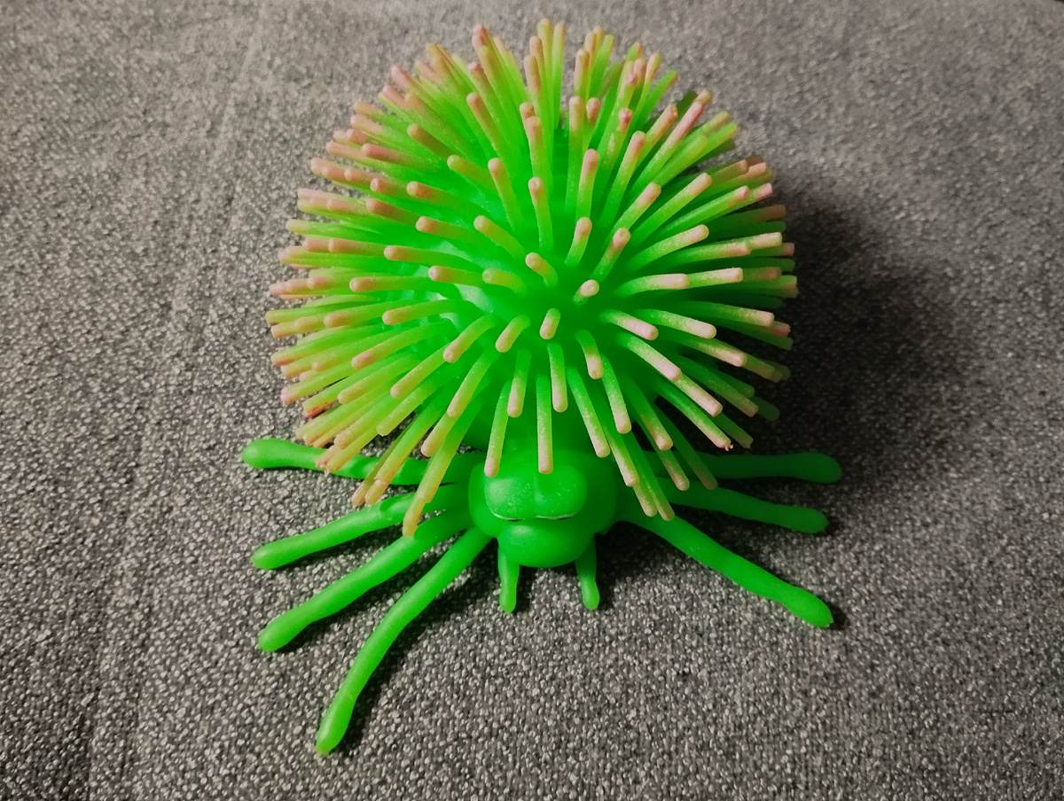 Игрушка. Фото автора.