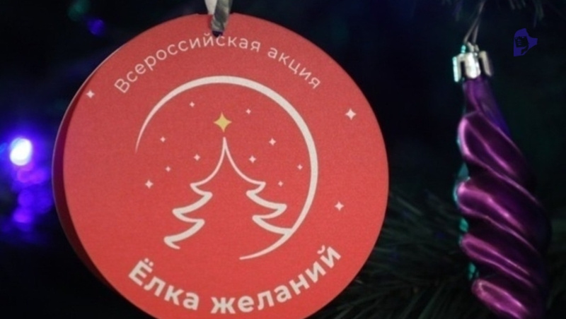      Фото: ИА «Победа26»